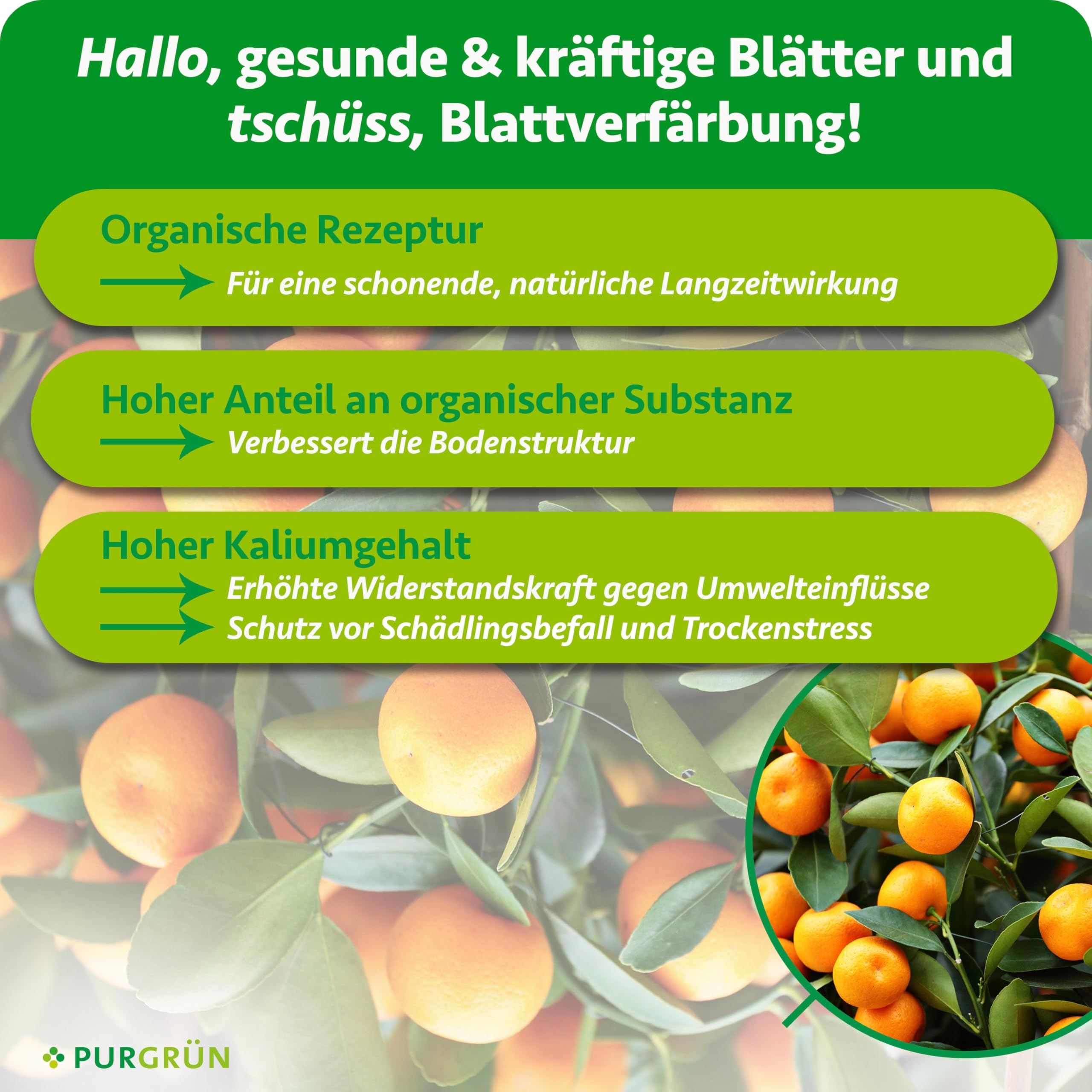 Bio-Zitrusdünger 1 Liter – Gesundes Wachstum dank rein natürlicher Inhaltsstoffe – Fördert die Blütenbildung mit extra Kalium – Ergiebiges Konzentrat für 100 Liter Gießwasser