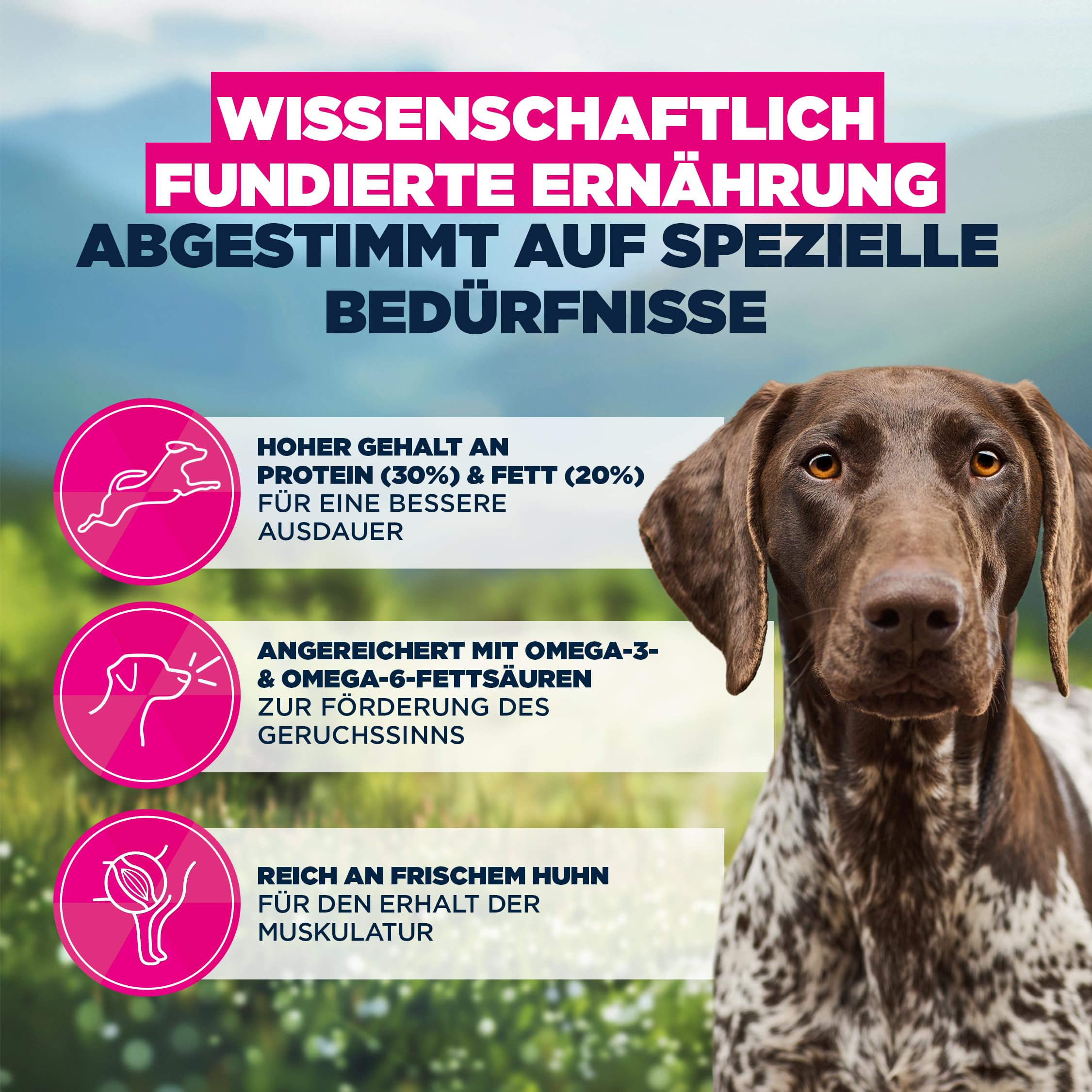 Eukanuba Working & Endurance Hundefutter mit frischem Huhn - Energiereiches Special Care Trockenfutter für Arbeitshunde, Jagdhunde sowie trächtige & säugende Hündinnen, 15 kg