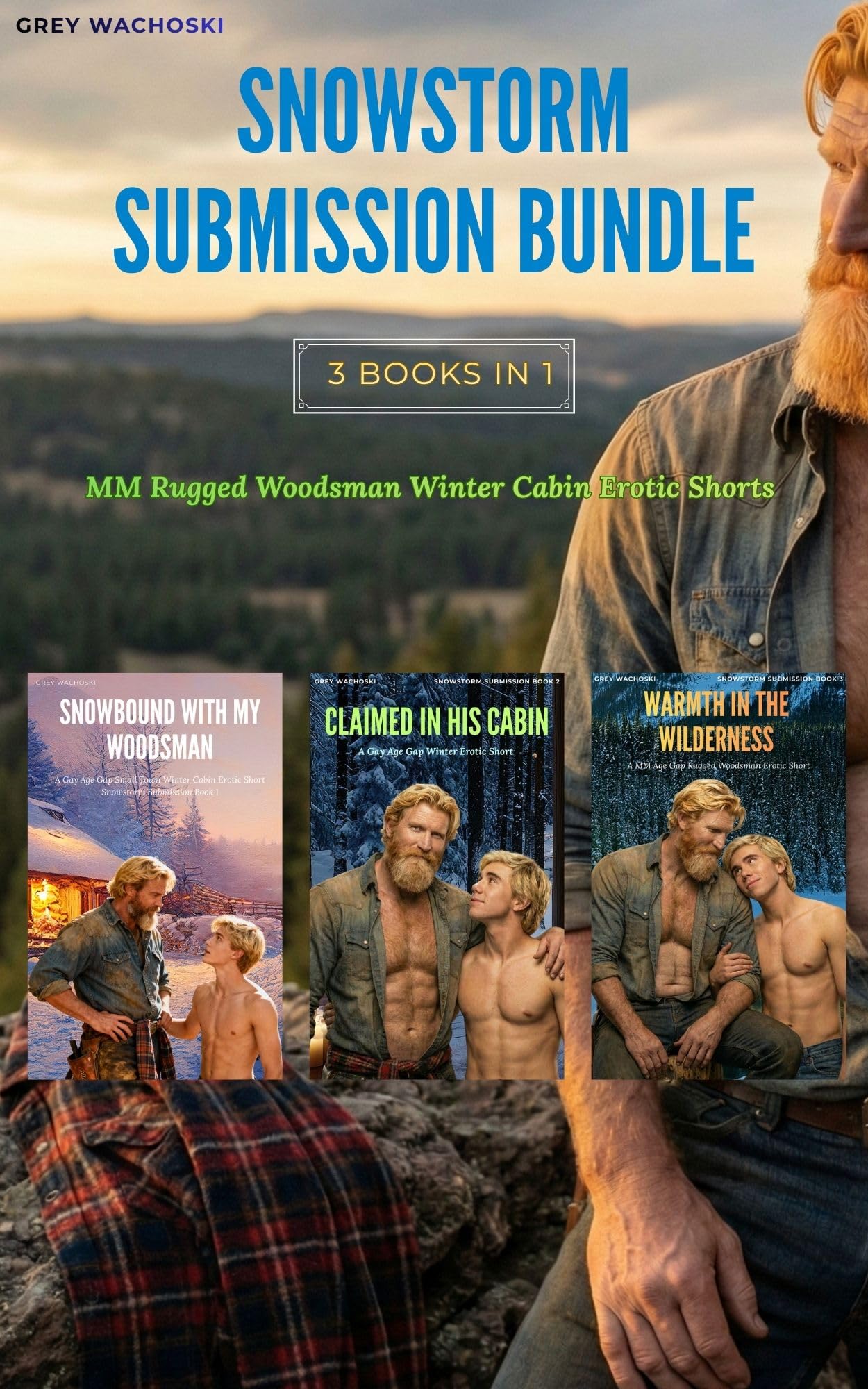 Snowstorm Submission Bundle cover
