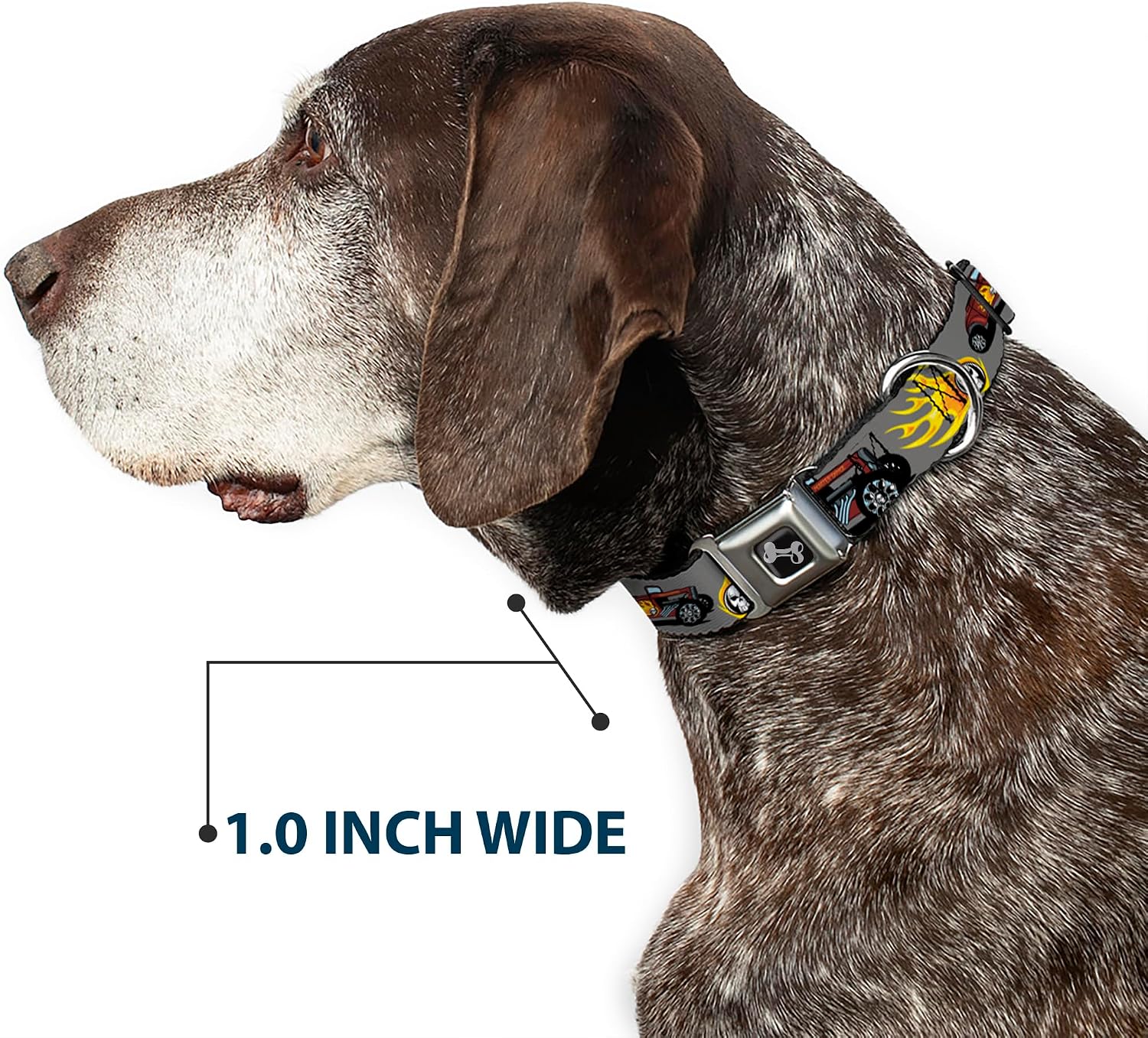 Buckle-Down Seatbelt Buckle Dog Collar - Hot Rod w/Flame Skull - 1" Wide - Fits 9-15" Neck - Small