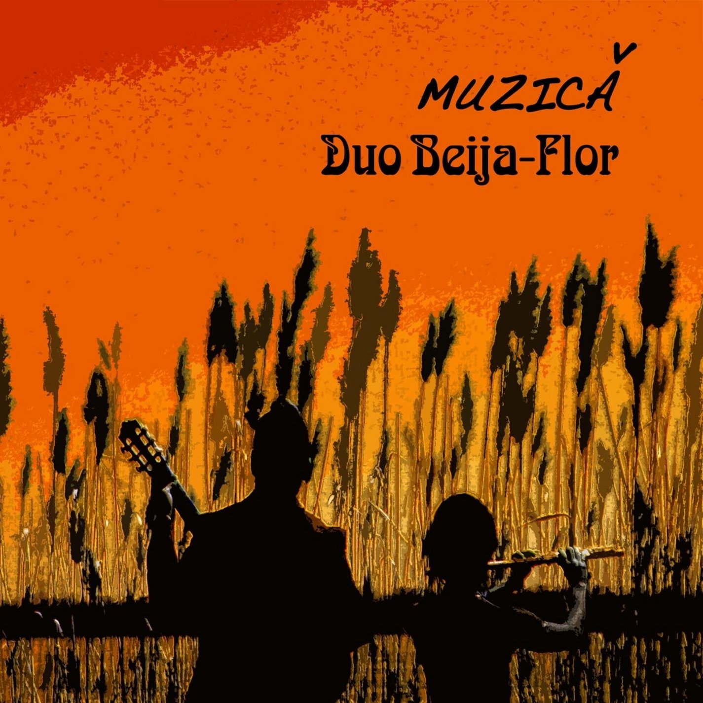 Muzica [Audio CD] Duo Beija-Flor