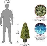 Vista 3 de National Tree Enero recto con maceta de plástico, redonda, verde