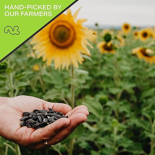 Miniatura 4 de Nut Cravings - Semillas de girasol tostadas sin sal para comer, sin cáscara (80 onzas - 5 libras) Nueces a granel empaquetadas frescas en bolsa