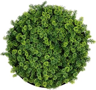 Nearly Natural 20-Inch UV Resistant Irish Green Meadow Artificial Living Wall Panel - Indoor/Outdoor Lush Greenery in Black Aluminum Frame, Easy to Hang, Perfect for Home, Office, and Events