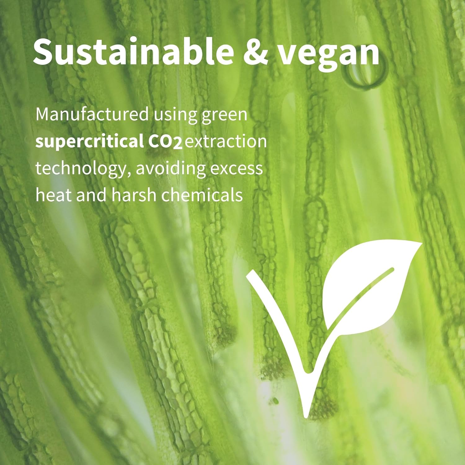 Igennus Vegan Astaxanthin 4mg Complex with Lutein and Zeaxanthin, 90 Small Softgels, from 42 mg Astapure, Natural Algae Antioxidant for Eyes, Skin & Joints, Non-GMO, H. Pluvialis - Image 4