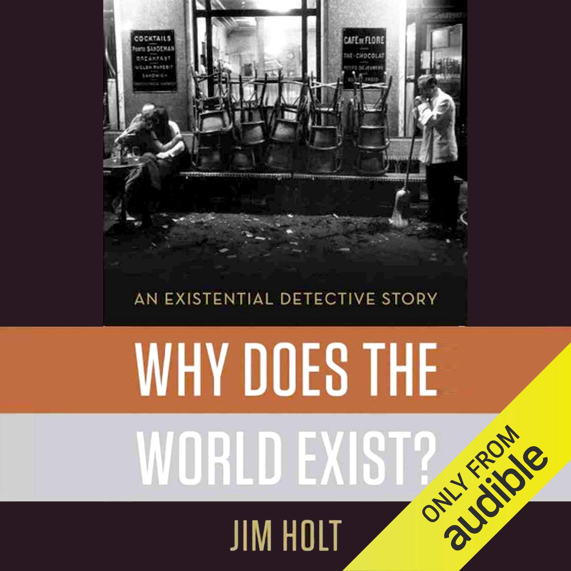 Cover art for Why Does the World Exist?