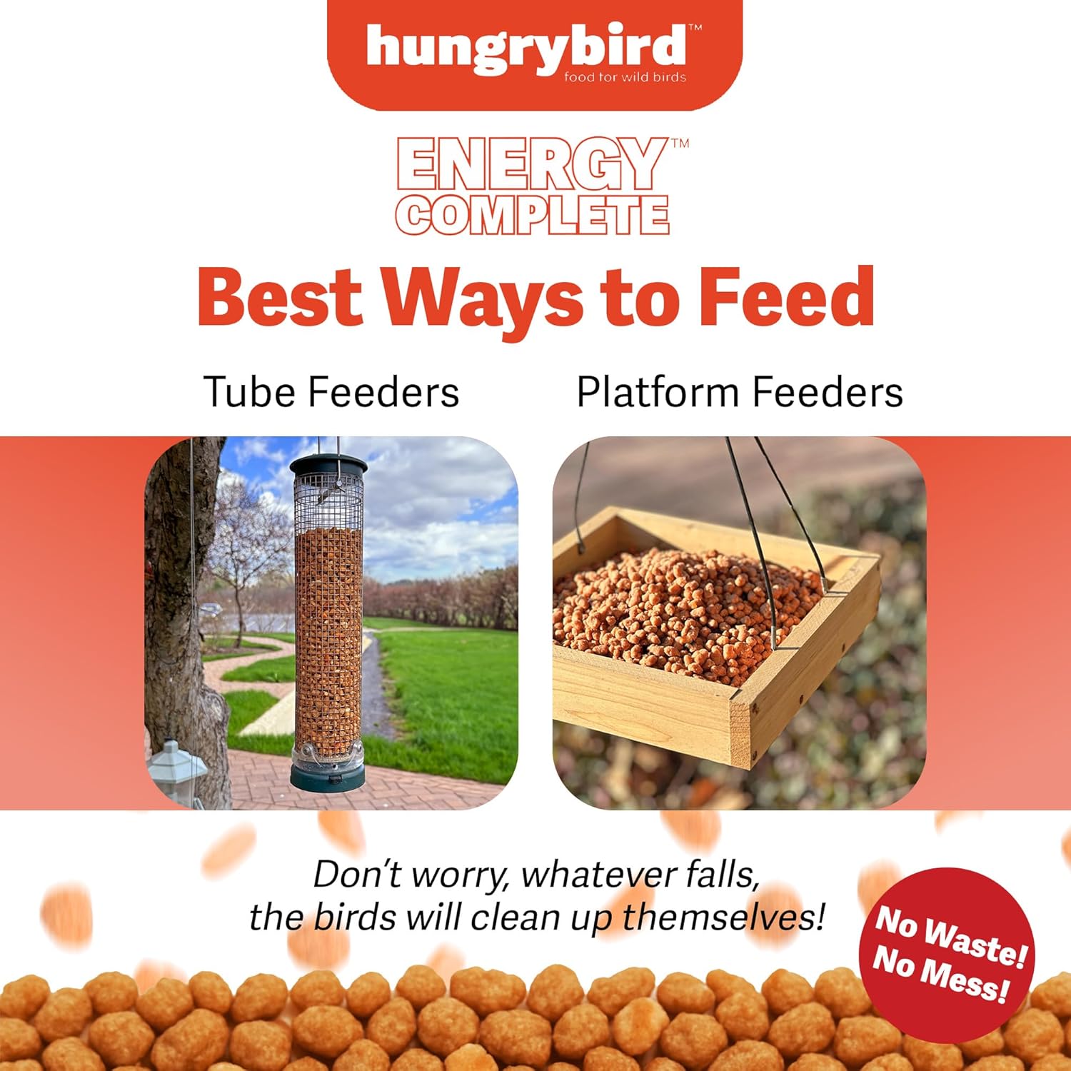 HUNGRYBIRD Energy Complete, 3lbs - High-Protein Hot Pepper Suet Bites for Outside Wild Birds