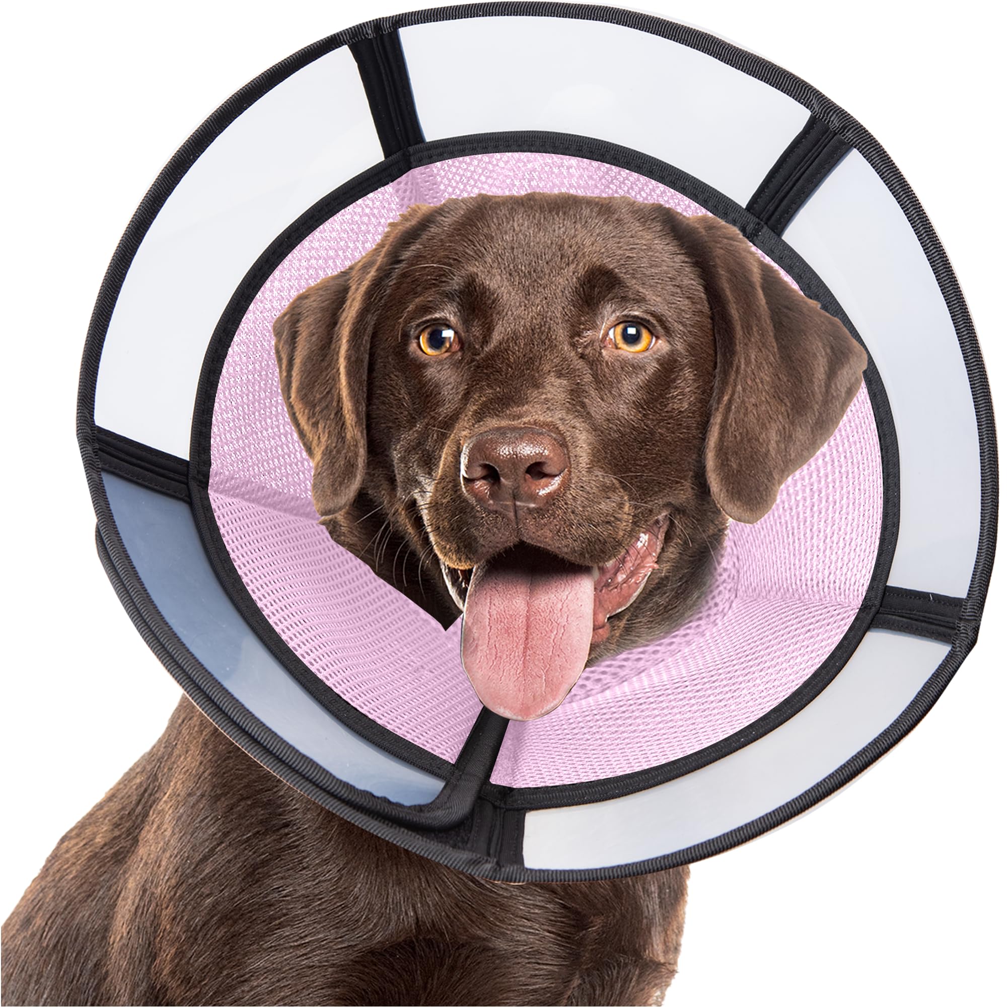 Soft Dog Cone, Stop Licking Deep Pet Recovery Collar After Surgery for Large Medium Dogs, Clear Plastic Breathable Elizabethan Head Neck Circle, Adjustable Comfortable Cones 25cm /10" Long (L Pink)