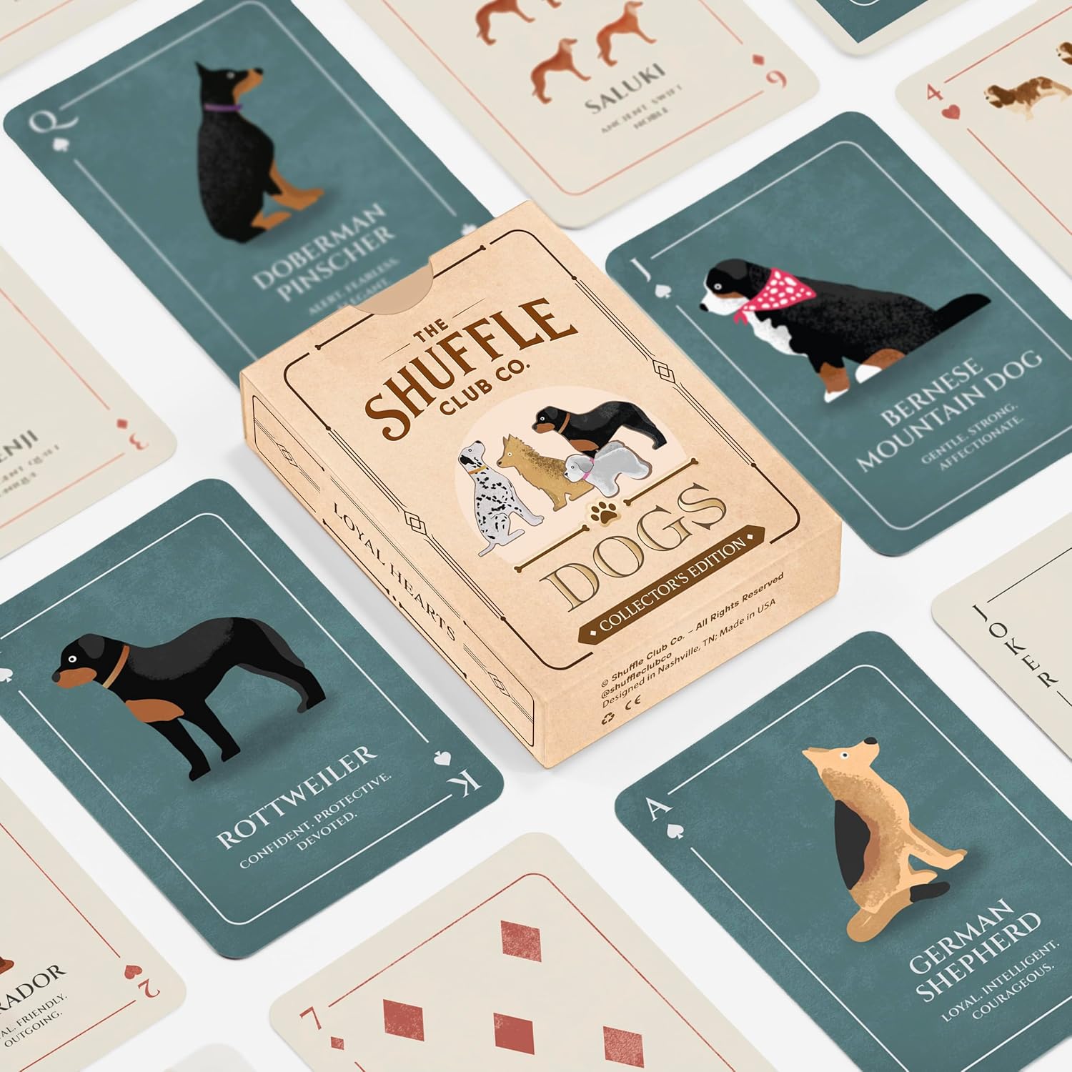 Dog Playing Cards – Illustrated Dog Breed Card Deck | Poker Size Playing Cards for Dog Lovers | Unique Gift for Dog Moms, Dog Dads & Pet Enthusiasts (Pack of 2)