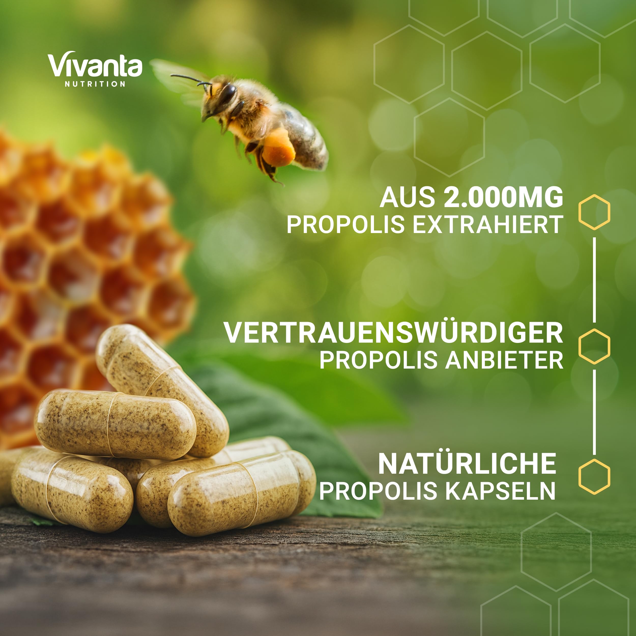 Propolis Kapseln – Hochdosierte Bee Propolis 5:1 Extrakt aus 2.000mg Rohpropolis – 3-Monatsvorrat – 180 Kapseln