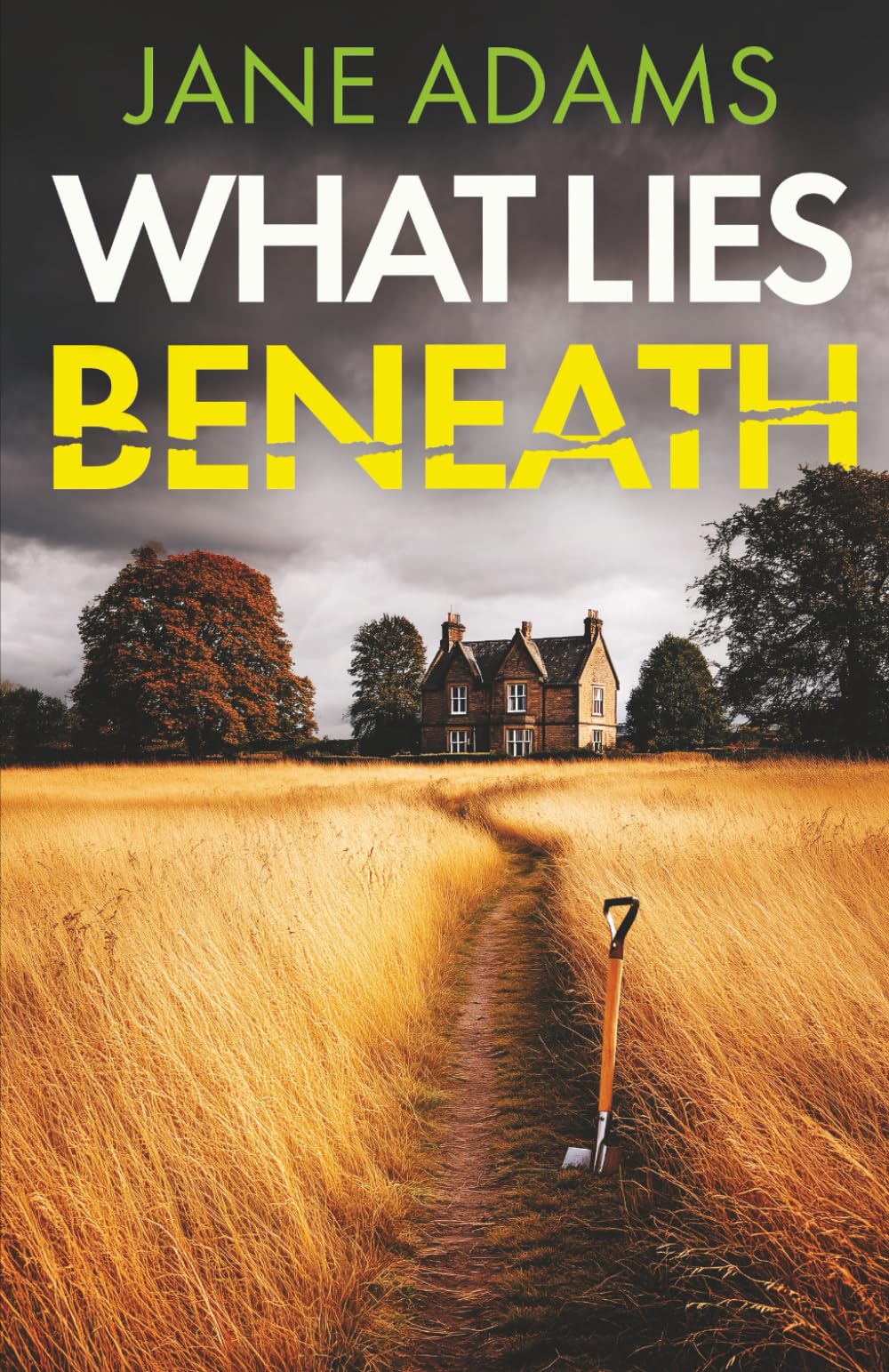 WHAT LIES BENEATH an absolutely gripping mystery thriller full of twists (Naomi Blake Mysteries)