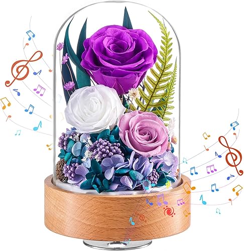 Miniatura 10 de Eterfield Flores para Entrega Prime, Rosas Preservadas de Navidad Regalos para Mujeres - Flor Eterna en Cúpula de Vidrio Regalos de Cumpleaños para