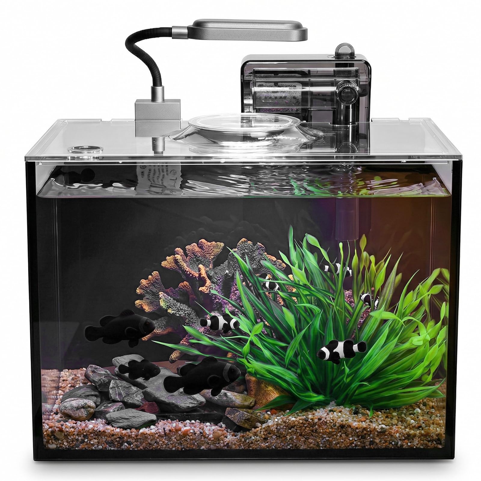 Aquarium de bureau sans bord ultra-transparent (noir, 7,7 litres (kit complet)
