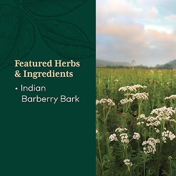 GAIA HERBS PRO Berberine Metabolic - Supplement Supplement with Berberine HCI - Vegan, Gluten-Free, Soy-Free - 60 Capsules (60 Servings)