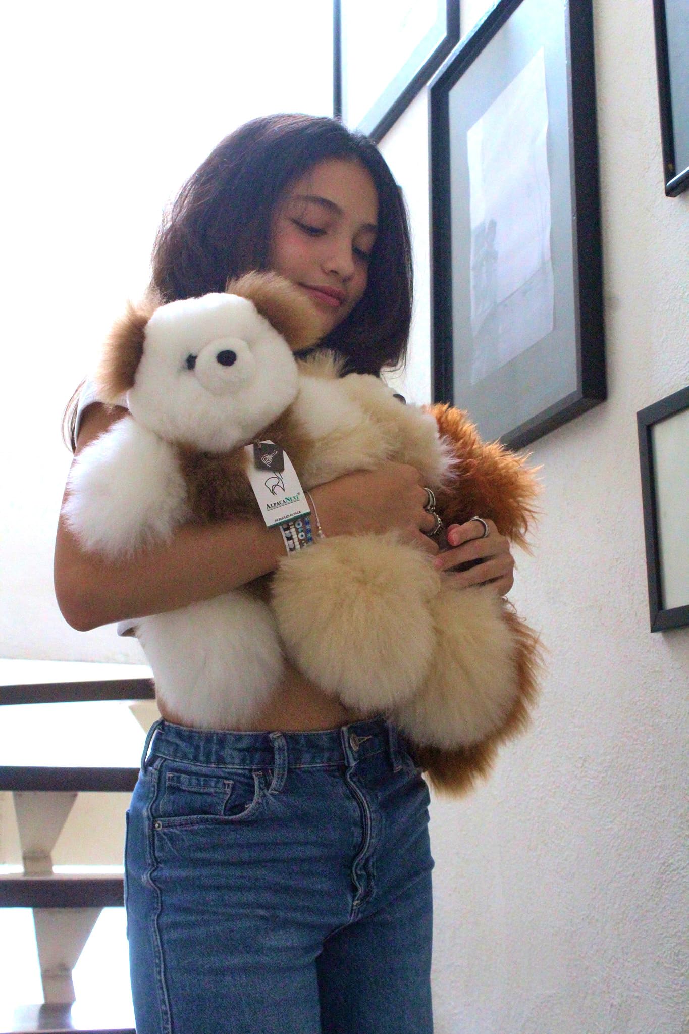 Amazon.co.jp: AlpacaNext ソフトで抱きしめたくなるベビーアルパカ