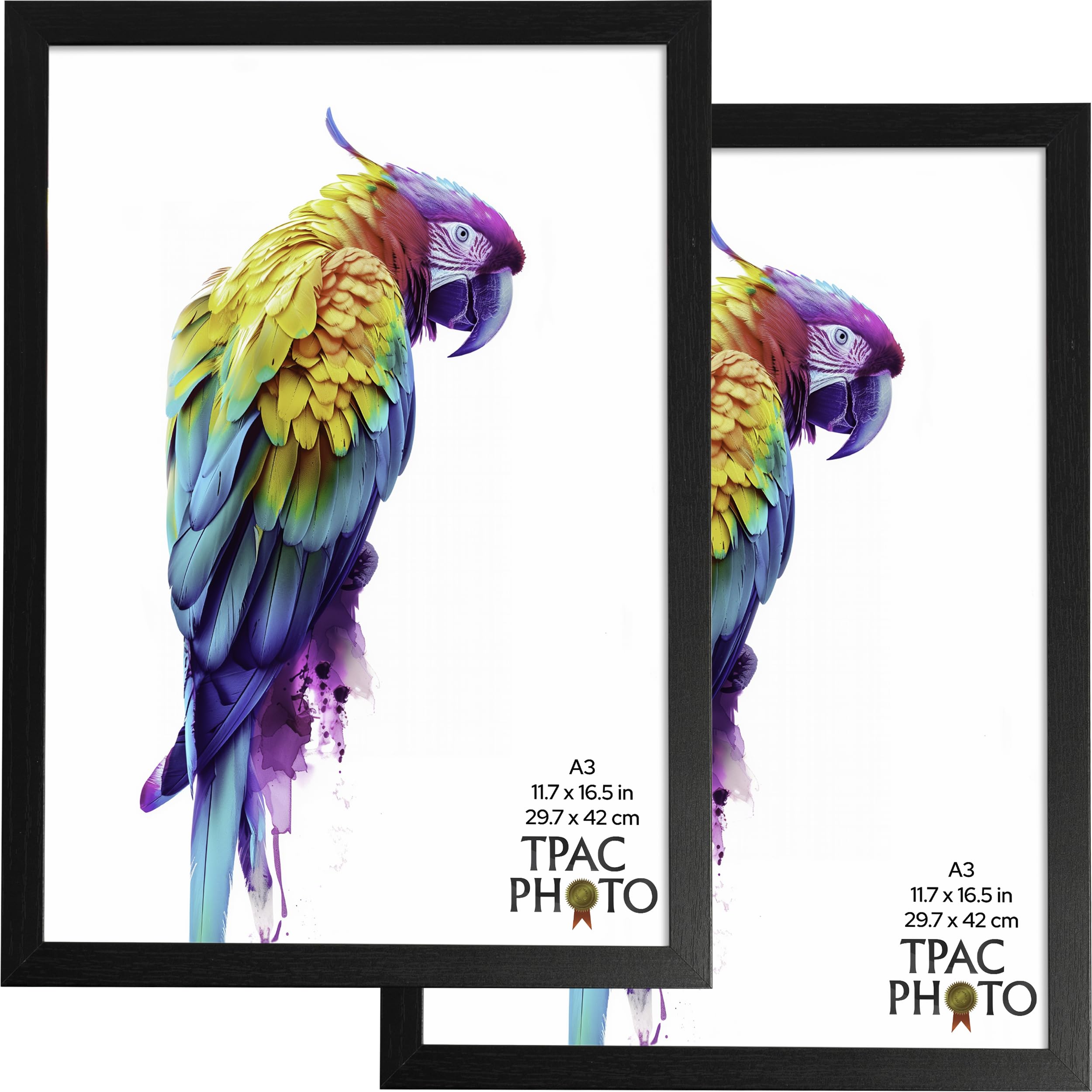 The Photo Album Company Limited Black The Photo Album Co Wexford A3 (29.7X42cm) Poster Frame Acrylic (Non-Glass) Front Pack Of 2