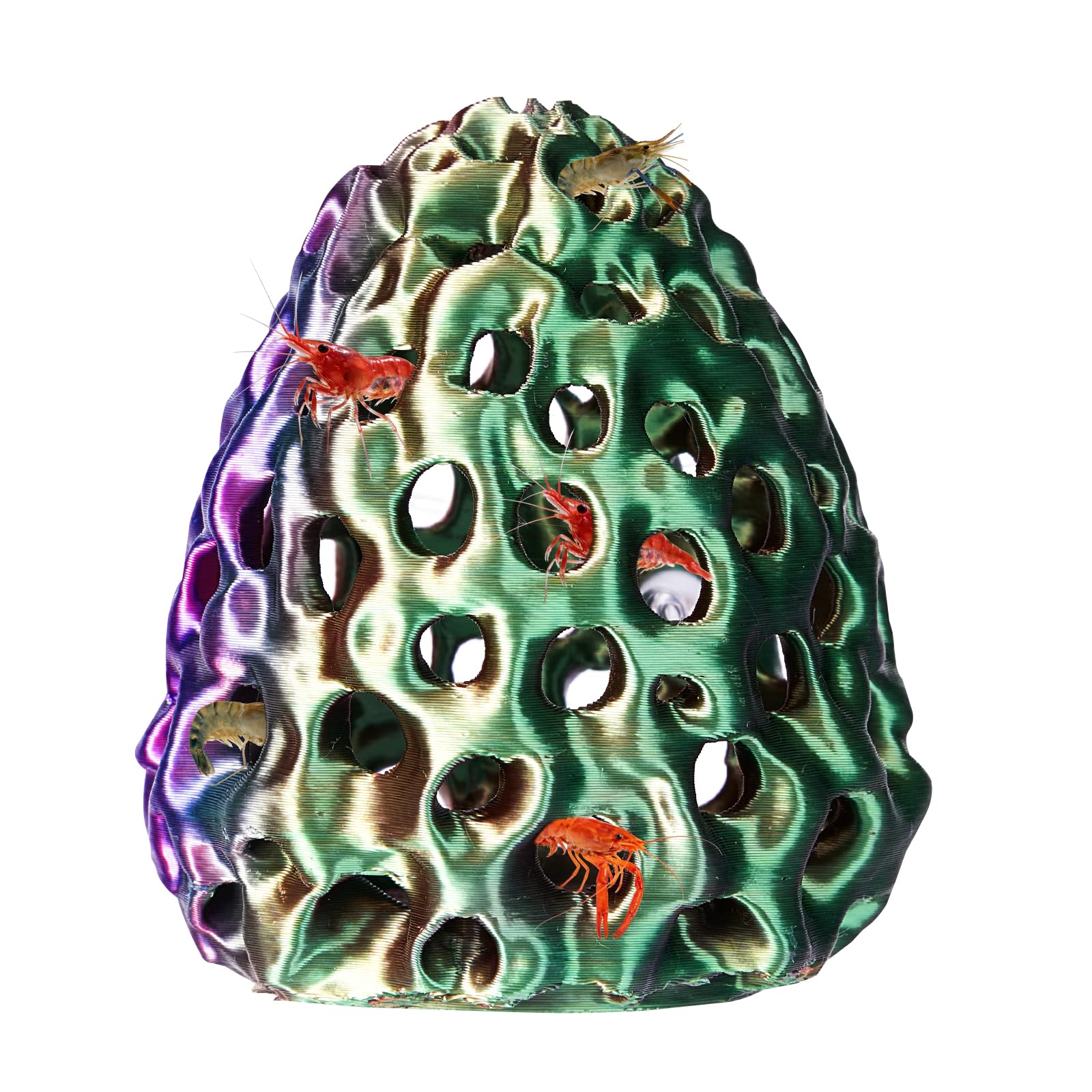 Boxili Shrimp Dome Hide, Shrimp Hides for Aquarium, Betta Fish Hideout with Suction Cup, Betta Habitat Tank Ornament Accessories, Aquarium Decor for Small Fish Guppy Hiding Resting (Purple Green)