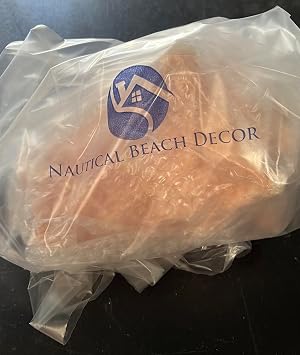 Large Bahama Conch Shell Horn - 7-9 inch