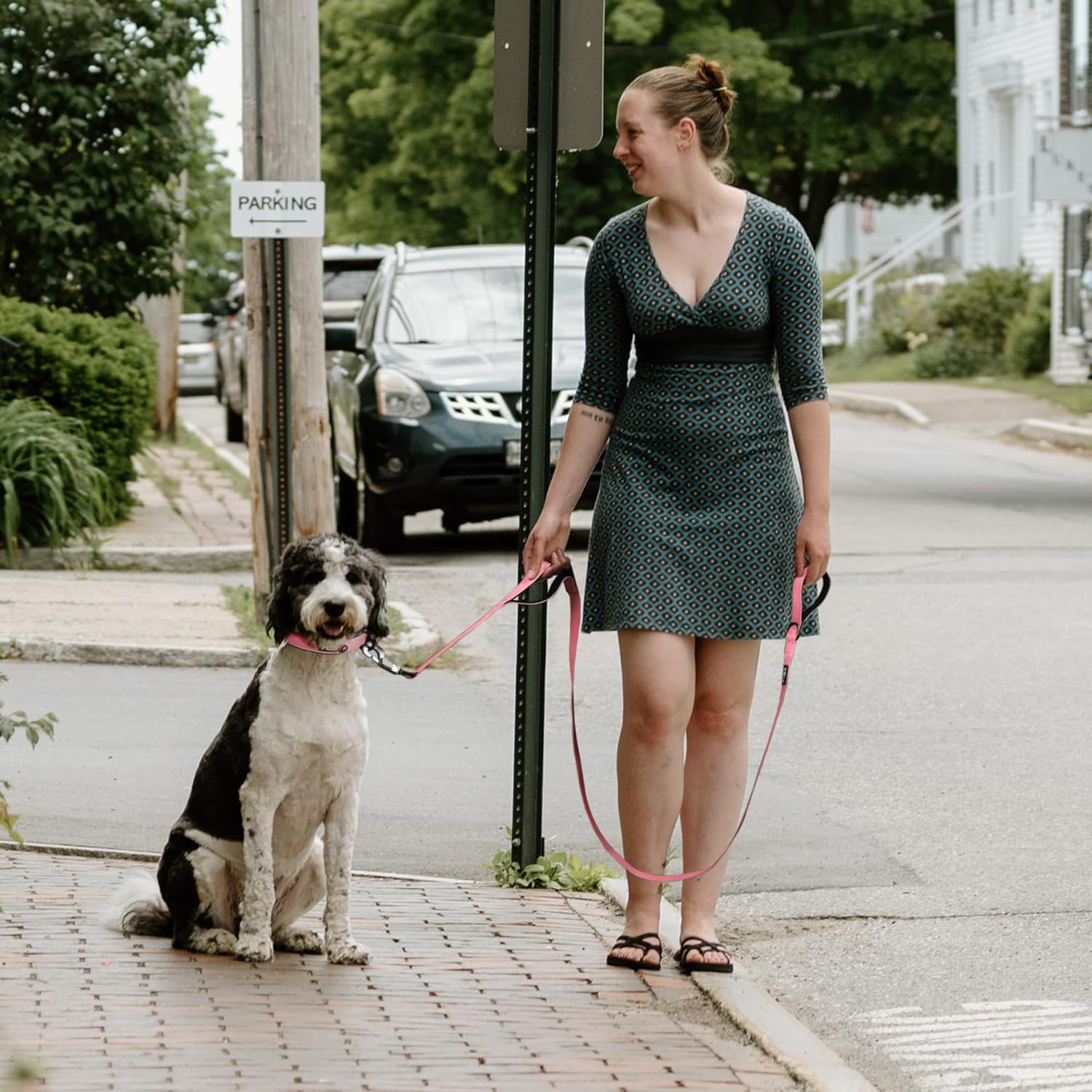 Fida 6 FT Heavy Duty Dog Leash with 2 Comfortable Padded Handles, Traffic Handle & Advanced Easy Snap Hook, Reflective Walking Lead for Large, Medium & Small Breed, Pink - Image 6