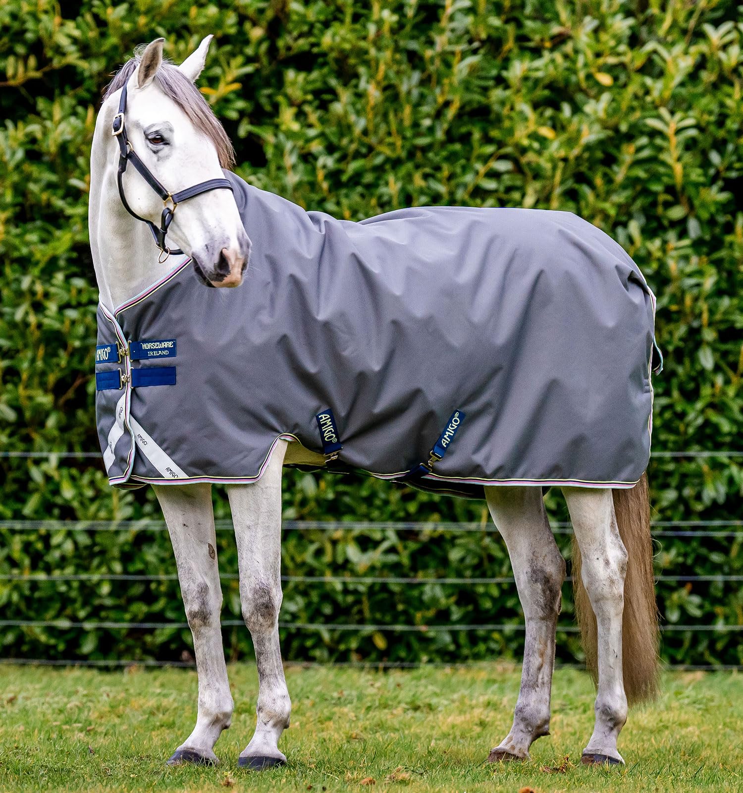 Horseware® Amigo® Bravo 12 Original Weidedecke (100g leicht)