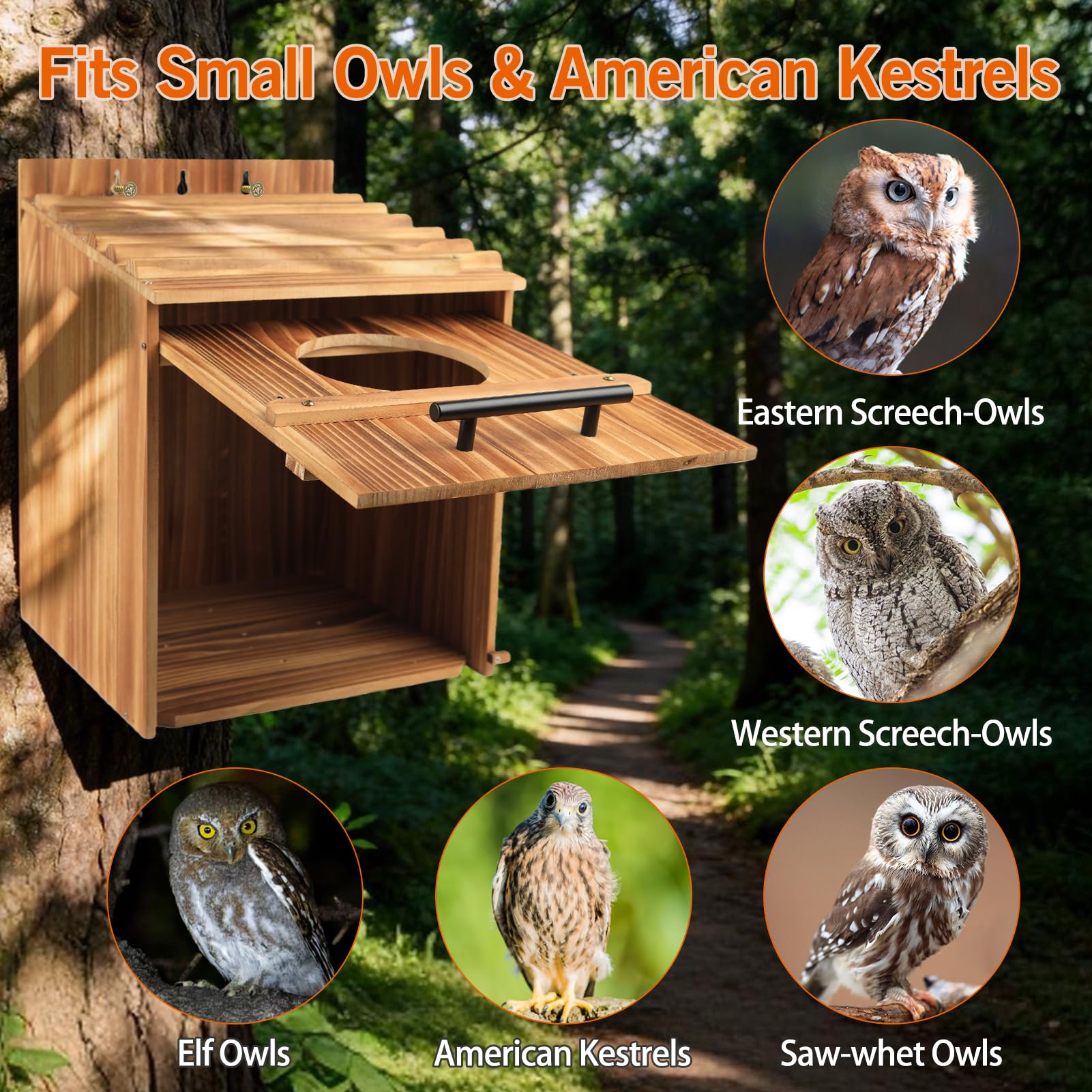 Grande casetta per esterni, 43,2 x 31,8 x 31,8 cm, in legno, per esterni, nido per uccelli, habitat per urlo, boreale, sega - Whet & Elf Owls