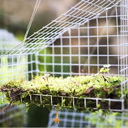 Miniatura 7 de Casart 48" x 50' paño del hardware, malla cuadrada soldada alambre de la jaula para la seguridad