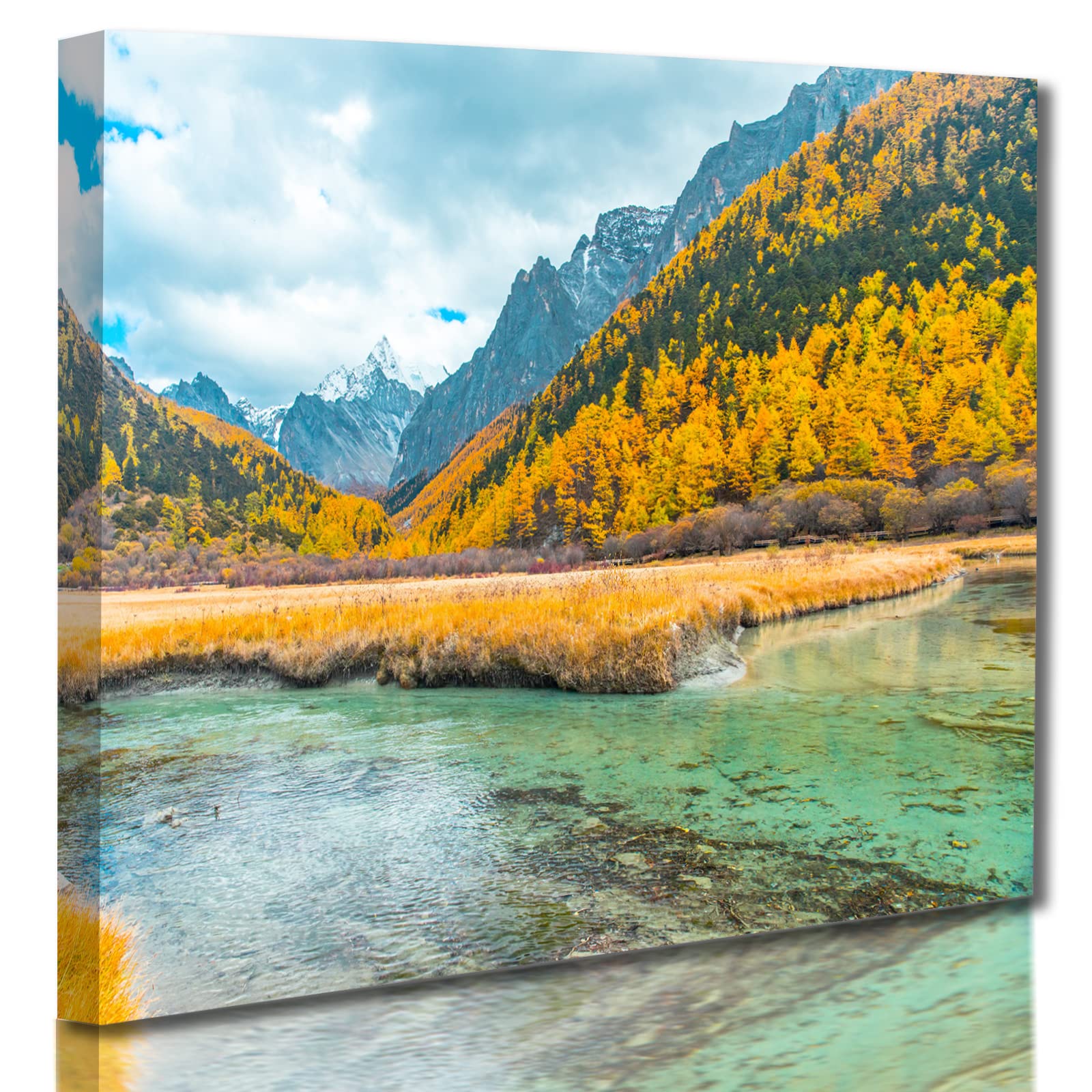 Amazon.co.jp: U-SITU アートパネル インテリア 山 野原 青空 自然  