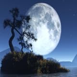 beautiful Moon light live Wallpaper