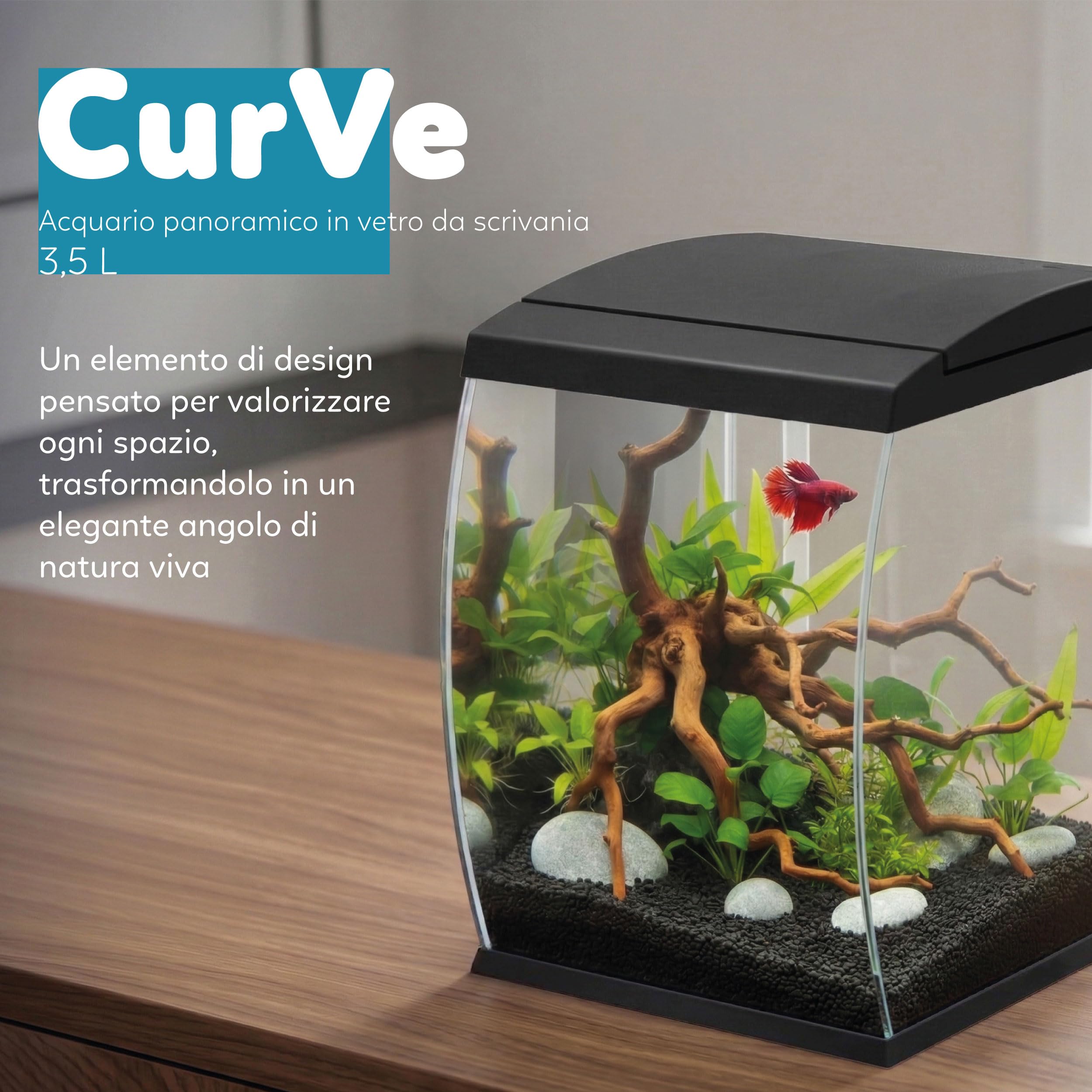 AQPET CurVe Acquario in Vetro Curvo 35L con Filtro Superiore Integrato e LED 6W – Acquario di Design da Scrivania con Pompa Inclusa e Coperchio per Distributore Automatico Mangime (Nero)