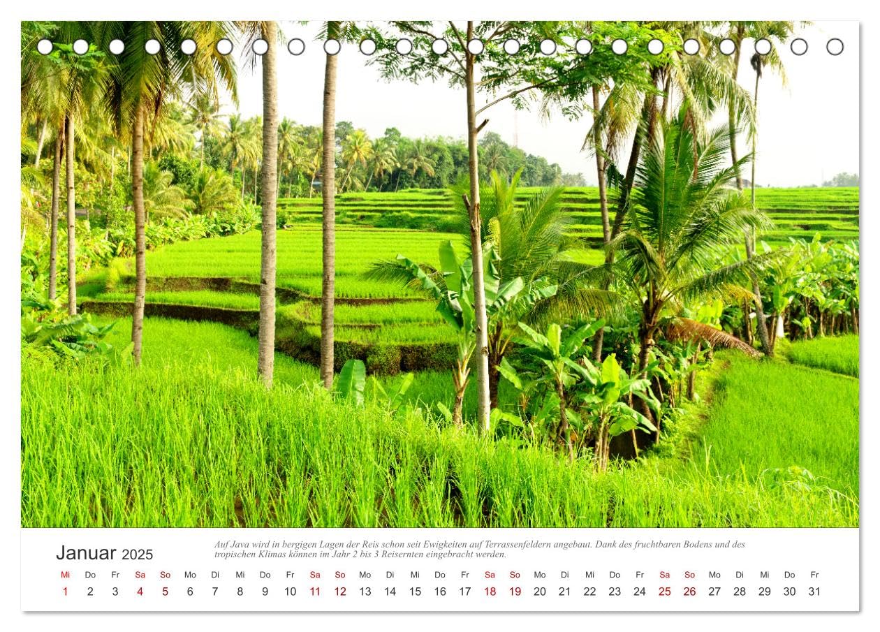 JAVA Natur pur (Tischkalender 2025 DIN A5 quer), CALVENDO Monatskalender: Java, eine der vier großen Sundainseln, lockt Besucher aus aller Welt an. (CALVENDO Natur)