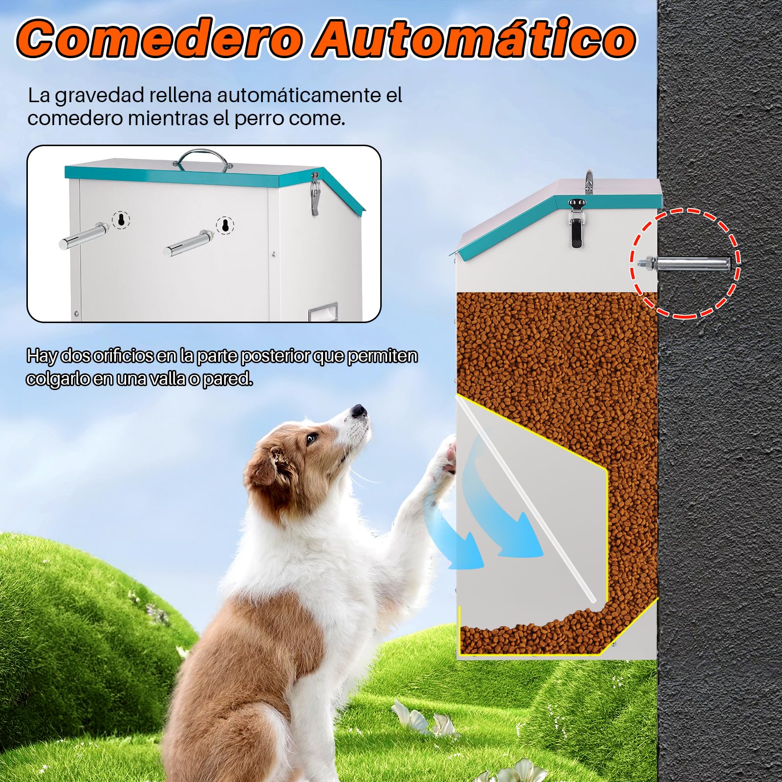 Alimentador automático para Grandes Perros de 50 lbs, alimentador automático Exterior, Distribuidor de Alimentos para Grandes Perros, alimentador de Gravedad galvanizado de Gran Capacidad para