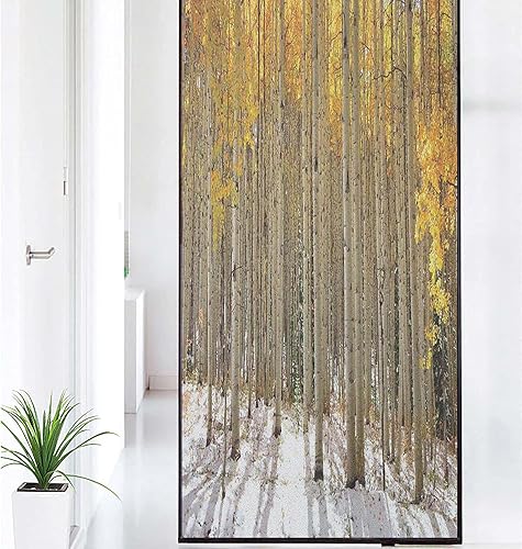 Película para ventana con patrón de decoración de casa de campo, árboles de álamo con hojas doradas en bosque nevado a principios de invierno,