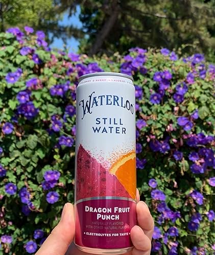 Miniatura 5 de Waterloo Still Water, ponche de fruta del dragón  Agua purificada con sabor natural  Latas de 12 onzas líquidas (paquete de 12)  Cero calorías  Cero