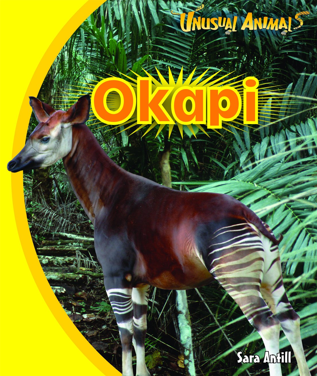 Okapi