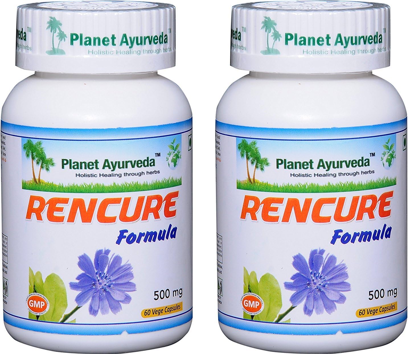 Planet Ayurveda Rencure Formula - Natural Plant Based Supplement for General Well Being - 2 Bottles (Each 60 Capsules, 500mg)