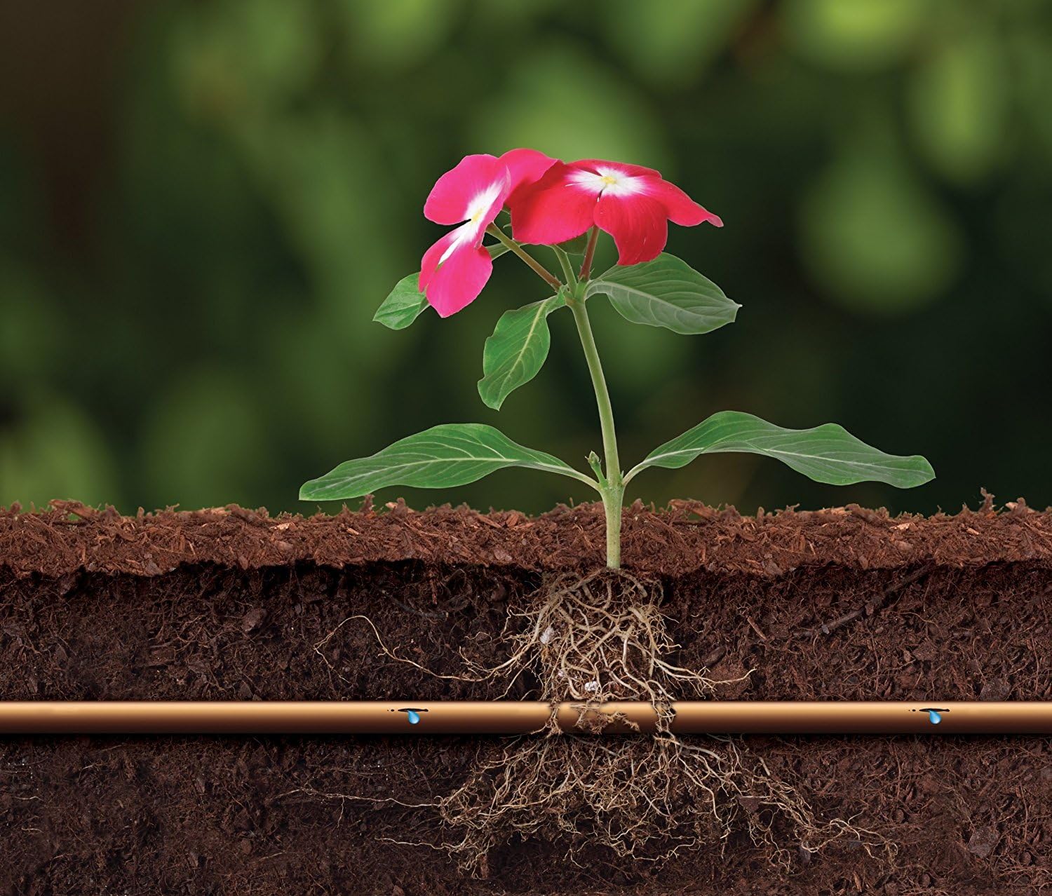 Rain Bird ET63-100S Drip Irrigation Pressure Compensating 1/2" (0.634" OD) Emitter Tubing, 18" Emitter Spacing, 100' Roll, Brown : Everything Else