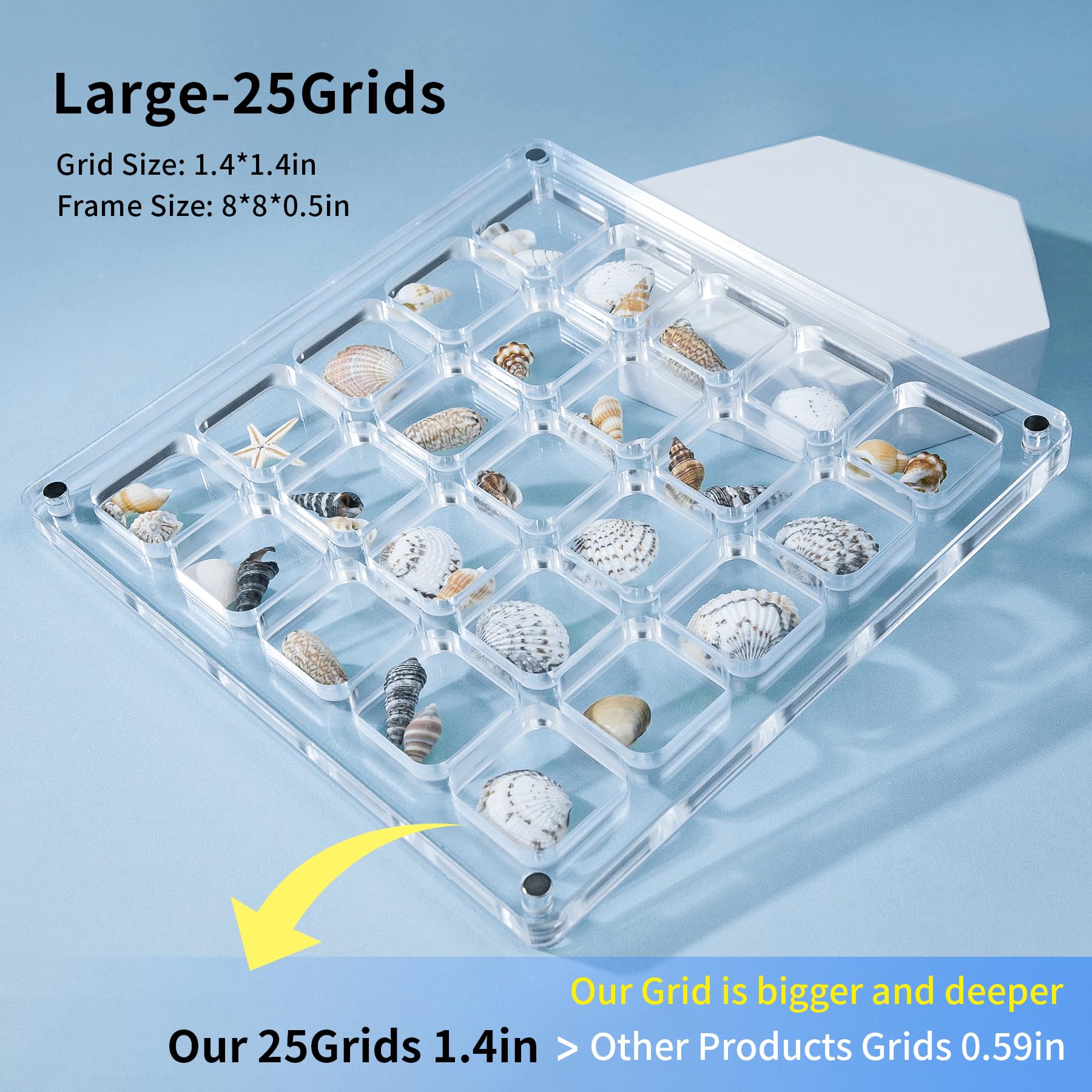 Amazon.com: MUXIUNT Multi-Style Clear Acrylic Magnetic Seashell