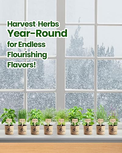 Miniatura 6 de Paquete variado de semillas de hierbas  9 kits de semillas culinarias tradicionales para plantar en interiores y exteriores  Regalos únicos de