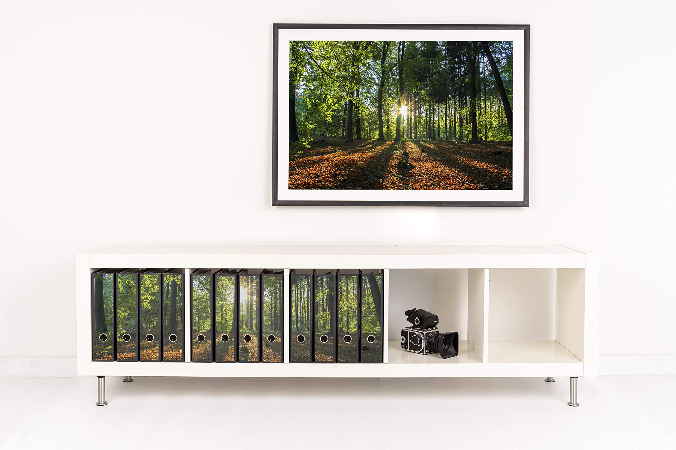 Dos de classeur autocollant | Lot d'étiquettes pour 12 classeurs larges | Perforées avec trou de préhension | Étiquette arrière large | Motif coucher de soleil sur clairière