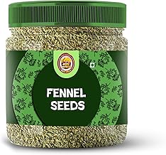 GORU NUTRIXA Fennel Seeds 400GM| Natural and Fresh Organic Saunf, Flavorful and Aromatic, Perfect for Cooking and Wellness, Saunf Organic | Badi Variyali For Eating