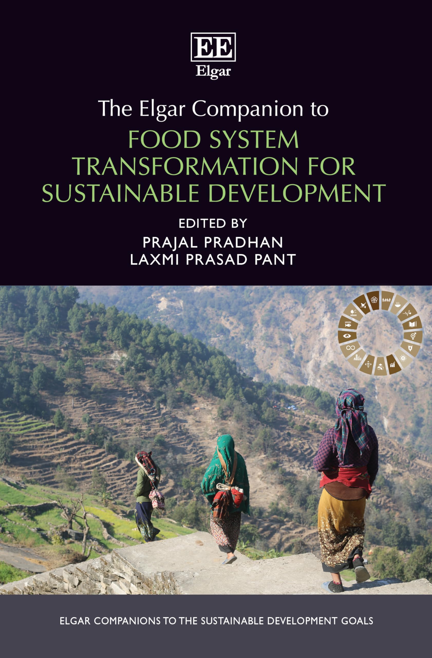 The Elgar Companion to Food System Transformation for Sustainable Development (Elgar Companions to the Sustainable Development Goals series)