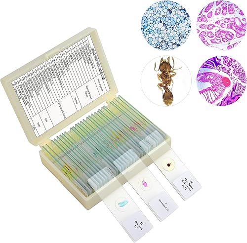 Miniatura 1 de 30 portaobjetos de microscopio con muestras para niños, diapositivas de microscopio preparadas para niños, diapositivas de vidrio para microscopio