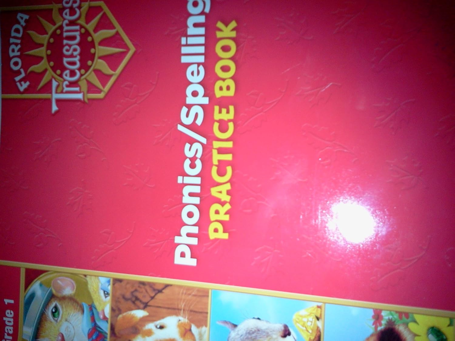 Phonics/Spelling Practice Book Grade 1 (Florida Treasures) unknown