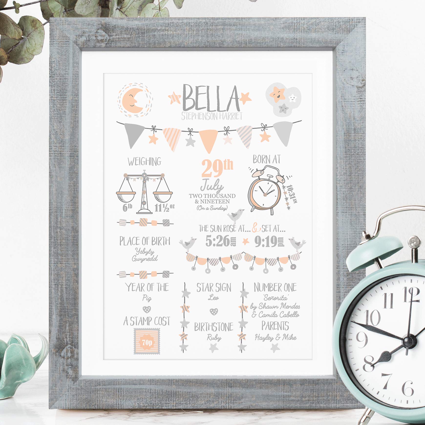 The Whistling Wren - Personalised Baby Birth Print Picture with Birth Details and Fun Facts. Personalised New Baby Gift. Christening Gift (PEACH & GREY) - FRAMED or UNFRAMED options.