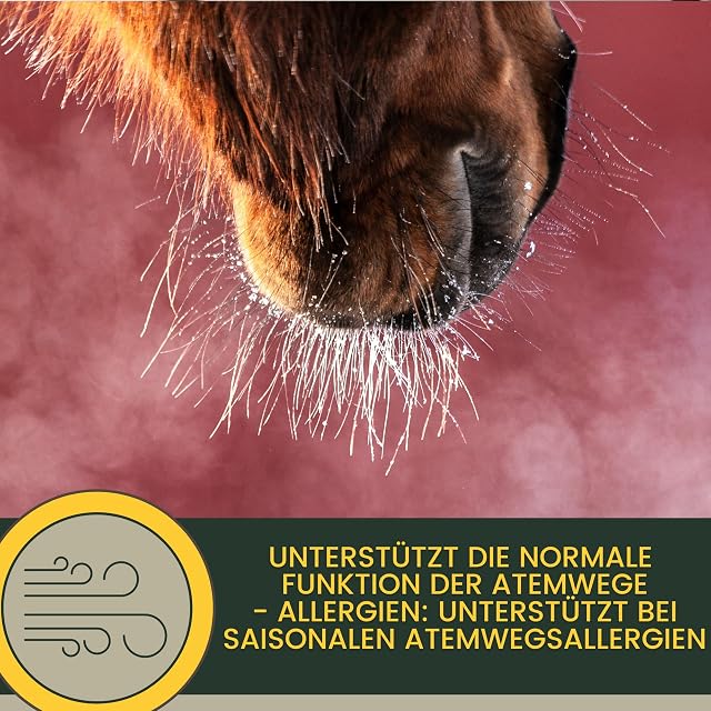 Foto 5 de 8 de Jarabe para la tos Caballo I Hierbas Bronquiales Tomillo Manzanilla Hinojo Caballo I Elixir Hierbas…