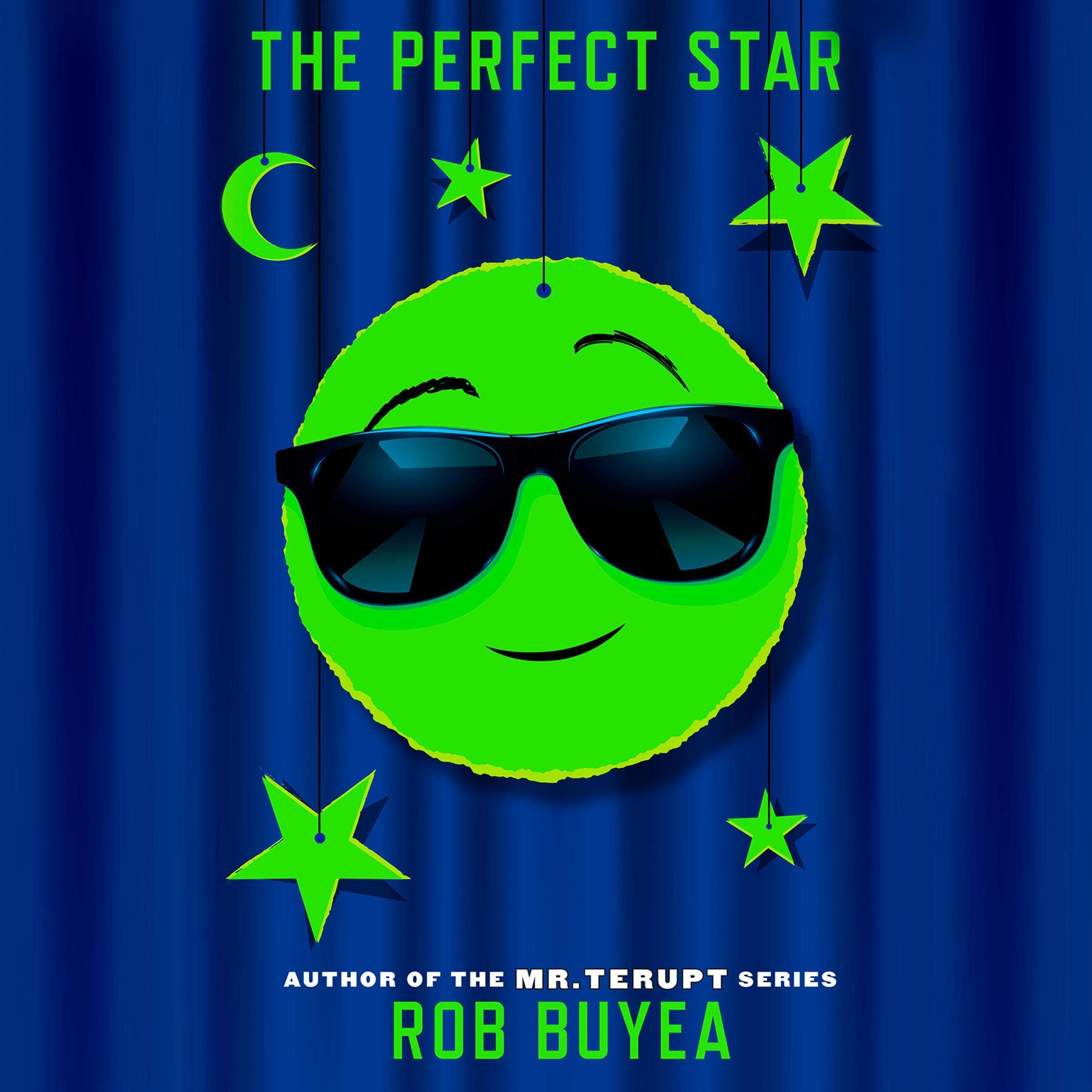 Cover art for The Perfect Star