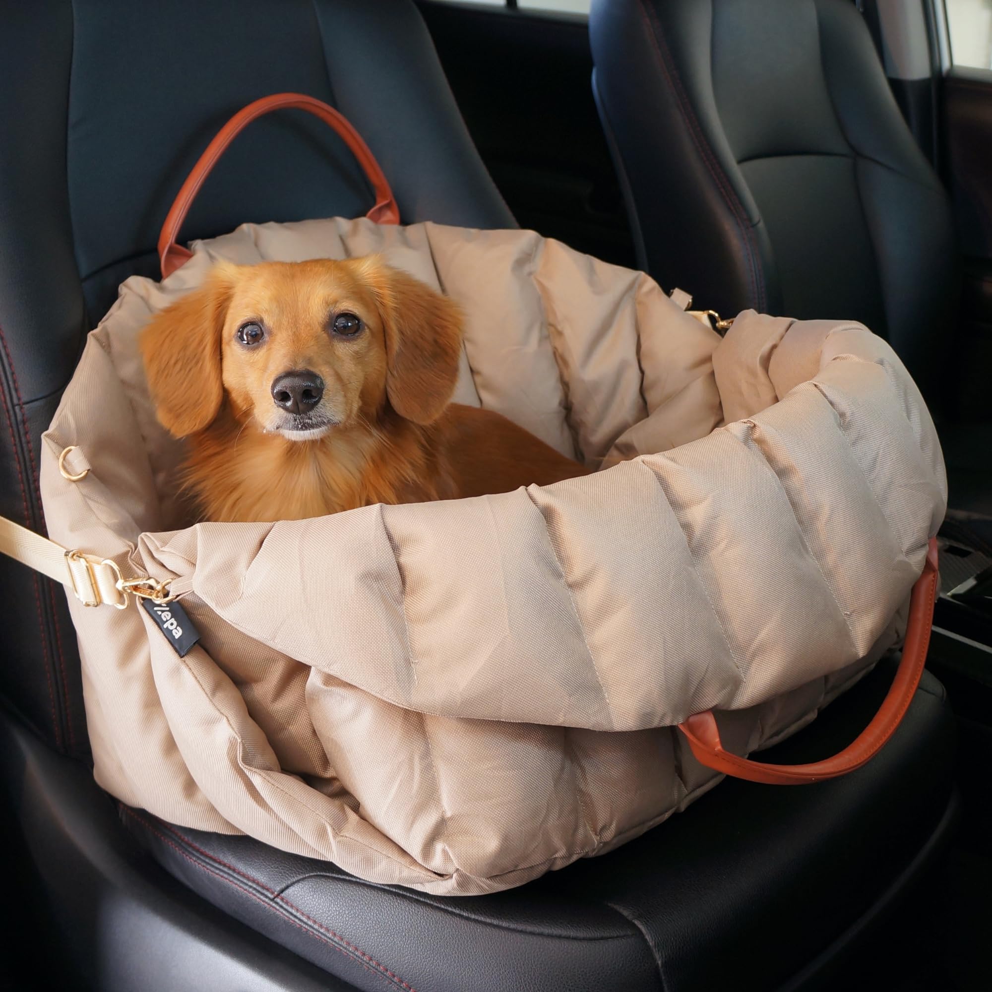 zepa dog car seat for small dogs, dog carrier for small dogs, washable oxford fabric with sherpa pillow adjustable straps and clip-on leash travel carrier bed 25lb (large)