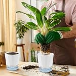 6 Emballage Pots d'auto-arrosage à l'intérieur, 5 Pots de plantes inch, pot de fleurs en plastique blanc, pot d'eau libre pot de fleur en plastique avec trous de drainage et réservoir amovible (12.5CM)
