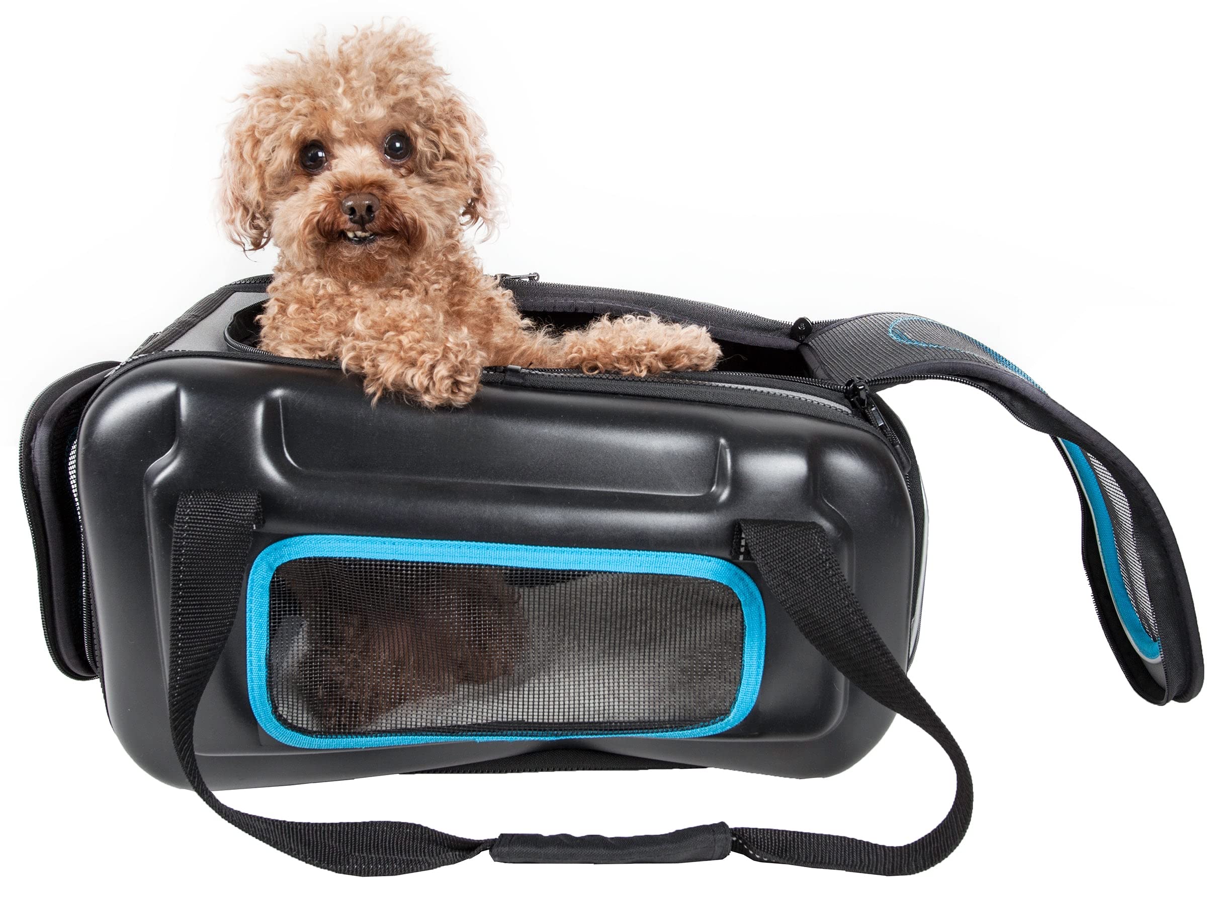 What Size Dog Will Fit Under An Airline Seat