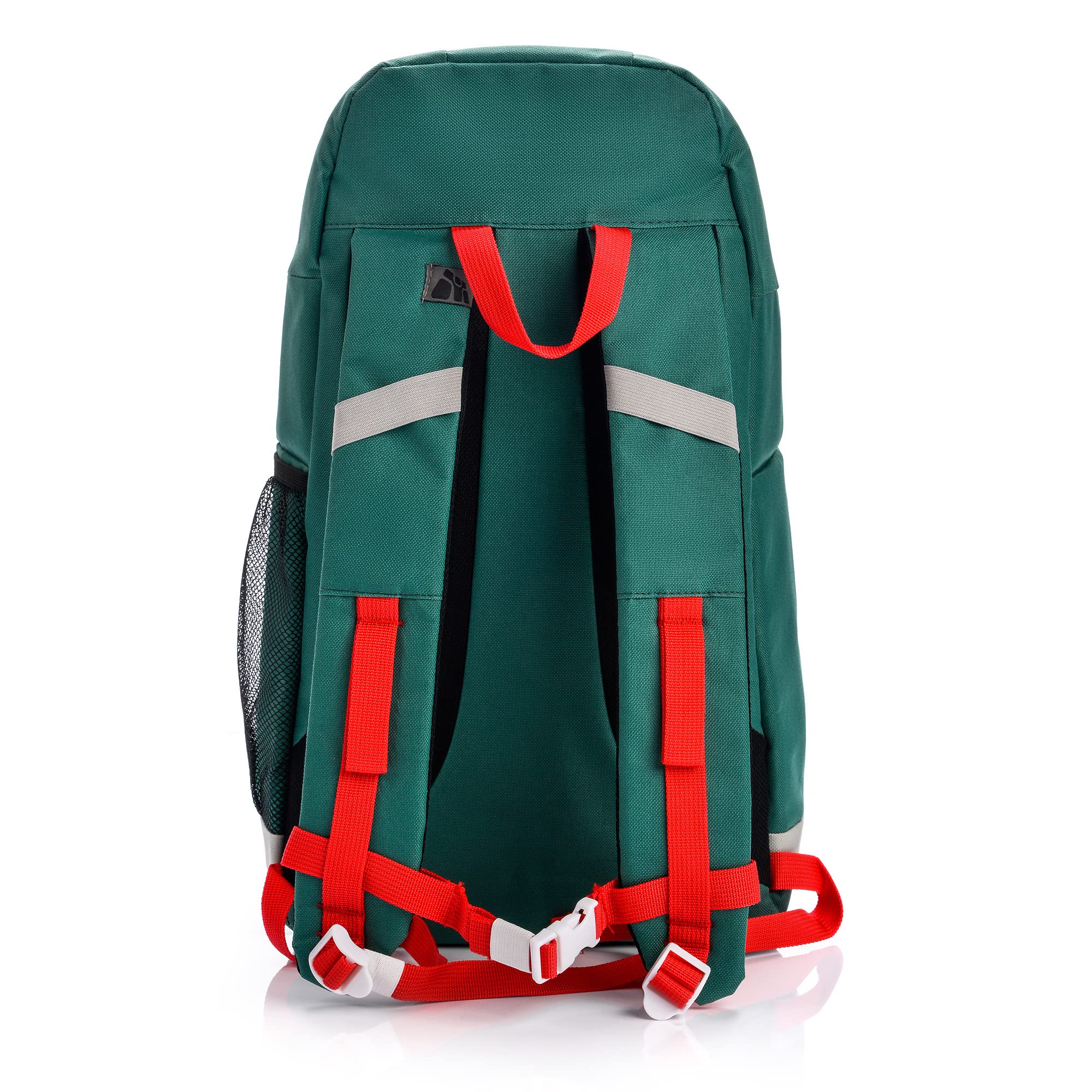 meteor 10 und 20L Kühlrucksack Kühltasche Isolierter Rucksack Lunchrucksack Kühlbox Picknickrucksack Eiscampingtasche Picknicktasche Outdoor Reisetasche (10L, Türkis/Rosa)